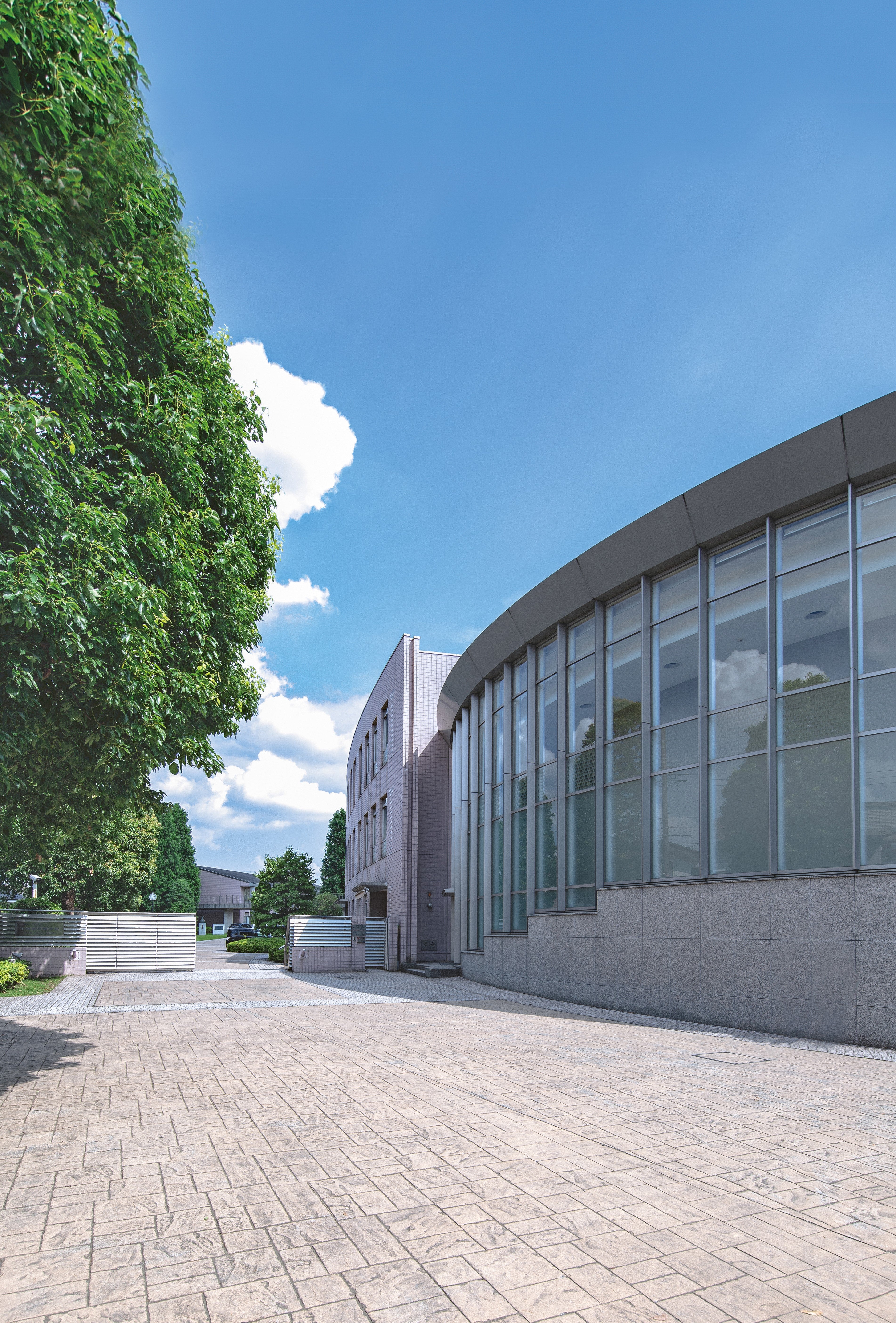 豊富な図解と記事で表現力育てる 地理の探究から